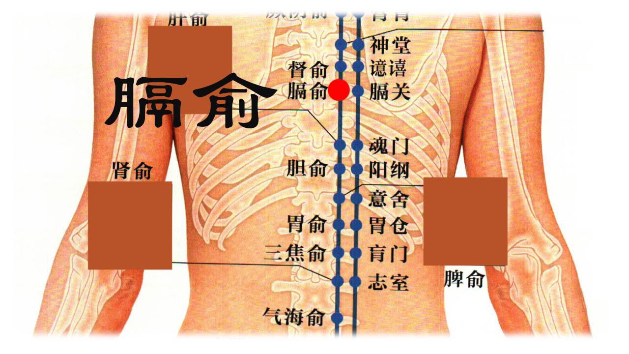 隔俞穴在什么位置 隔俞穴有什么功效