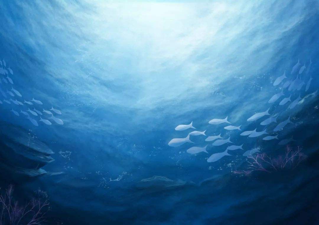 海底两万里那些成为现实 具体介绍下