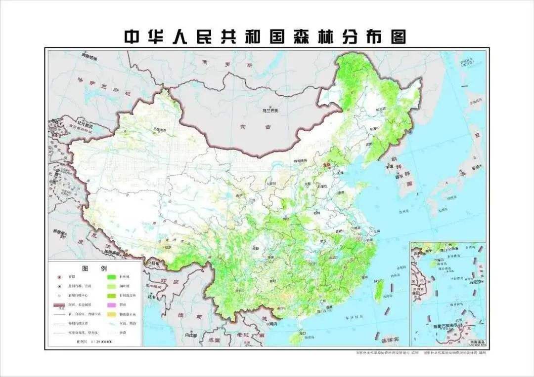 2,2019年,我国大力推进大规模国土绿化行动,森林资源持续增长,森林