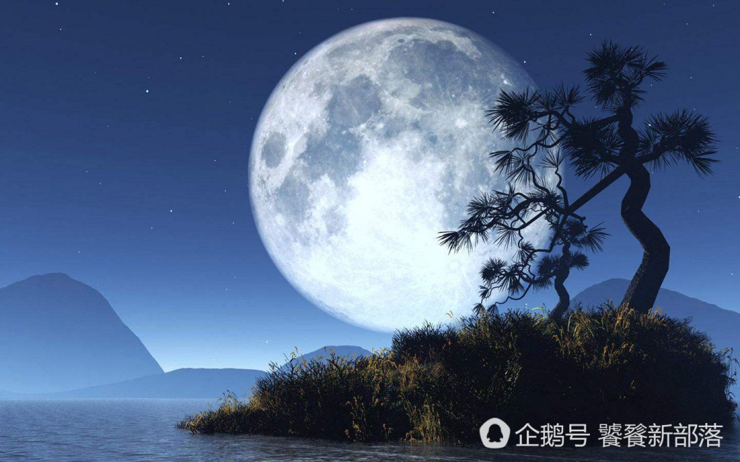 思念家乡的诗句 表达对家乡思念的诗句