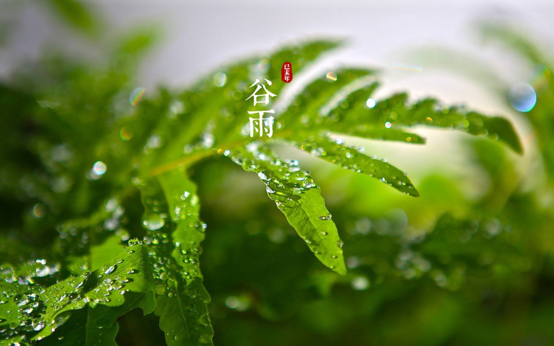 关于谷雨的古诗 关于谷雨的古诗列述