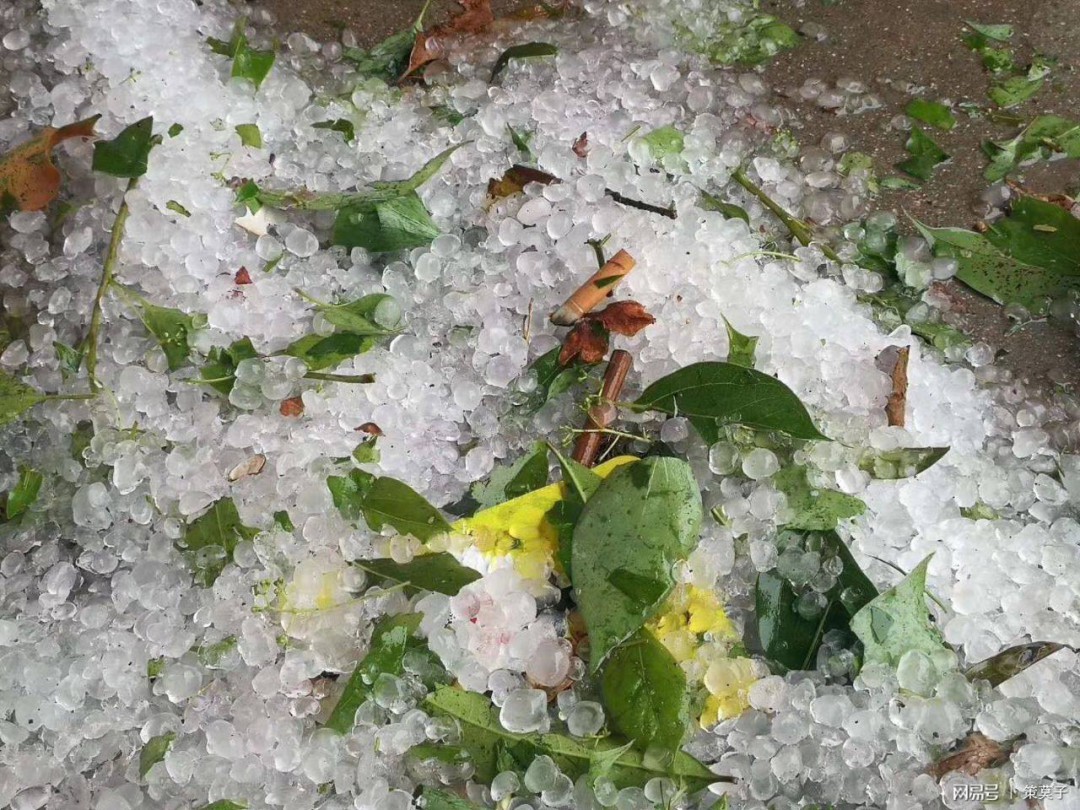 夏天下冰雹的原因冰雹是怎么形成的