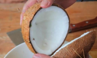 椰子怎麽打開 打開椰子的方法,第2張 椰子怎麽打開 打開椰子的方法,第2張