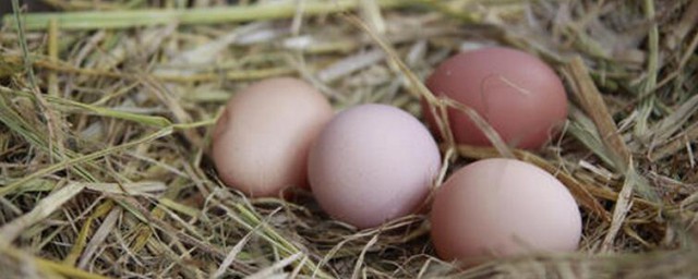 梦境拾趣，解析梦到捡鸡蛋鸭蛋的深层含义