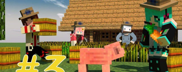 热带鱼minecraft 我的世界热带鱼 小丑鱼热带小鱼 Mc 热带鱼
