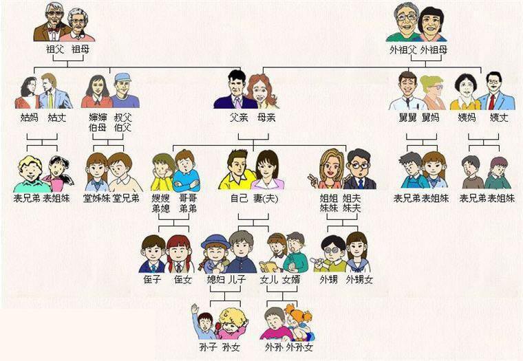 直系家属是指哪些啊关于直系亲属的范围