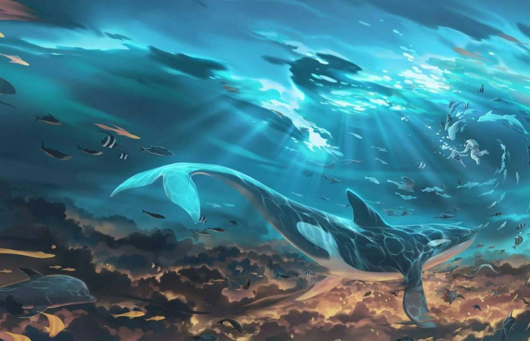 鲸落的寓意鲸落的含义