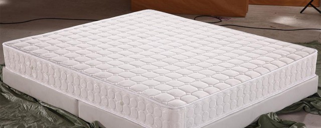 乳胶枕推荐:三款好睡之选 乳胶枕推荐:三款好睡之选