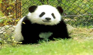 潜江积极推进生育政策落实落地南宫28官网- 南宫28官方网站- 南宫28APP下载