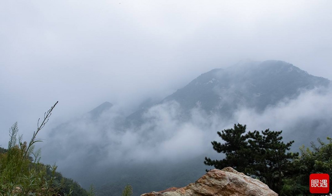 鲁山山行赏析 鲁山山行如何赏析