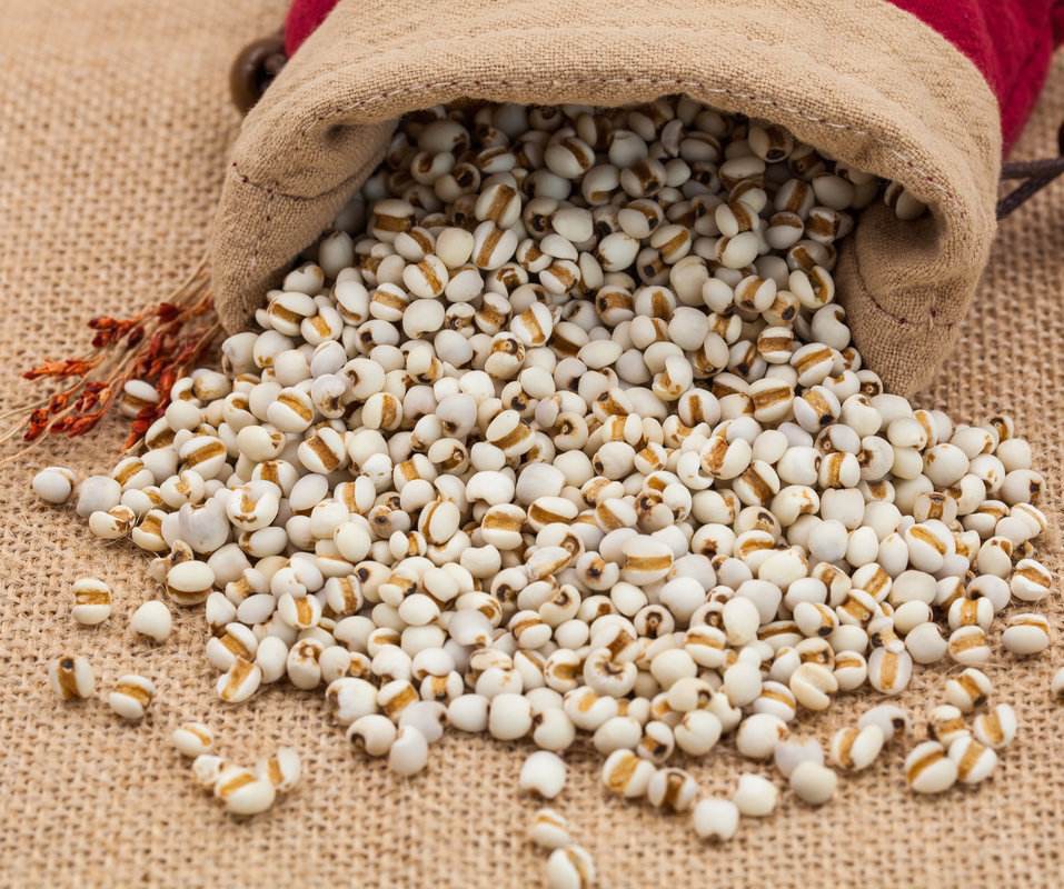 薏仁的功效与作用 薏仁介绍