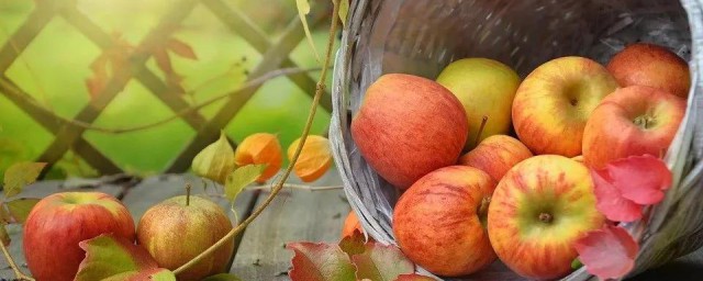 秋天有哪些水果成熟 各自有什麼特點,第1张