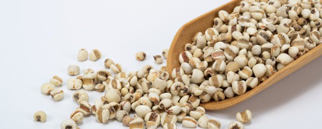 米仁的功效与作用及食用方法 米仁的功效与作用和食用方法