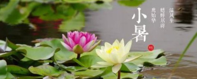 小暑詩詞 小暑節氣的諺語有哪些,第1张 小暑詩詞 小暑節氣的諺語有哪些,第1张