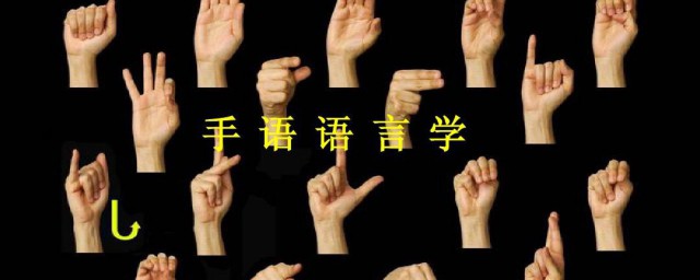 手语怎么学如何，手语怎么学可以吗