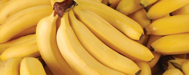香蕉和芭蕉有什么区别如何，香蕉和芭蕉有什么区别可以吗