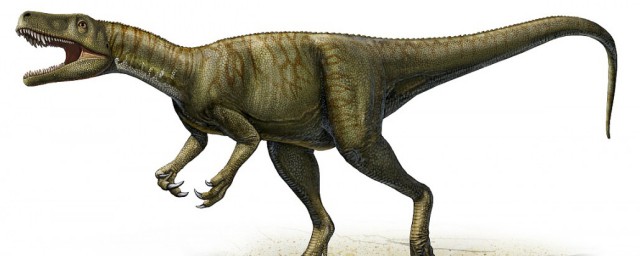 白垩纪晚期有哪些恐龙如何，白垩纪晚期有哪些恐龙可以吗