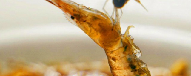 生虾有寄生虫吗解释，理解生虾有没有寄生虫