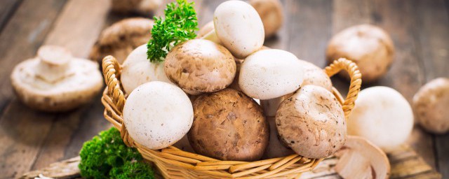 家里蘑菇的种植方法你清楚吗？