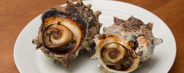 海螺不能和什么一起吃，对于海螺食用禁忌的要点