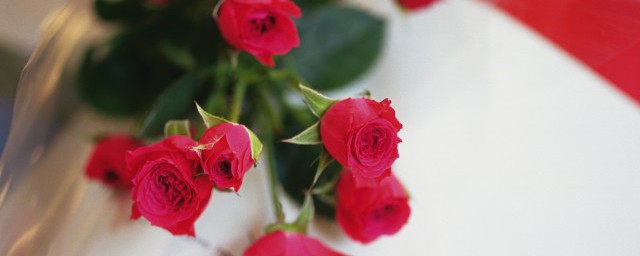 三朵玫瑰花代表的花语是什么意思须知道