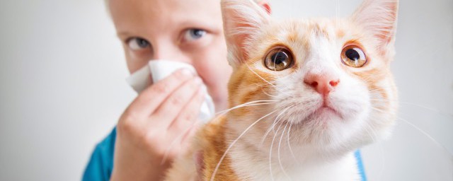 给小猫穿尿不湿的方法，对于给小猫穿尿不湿的方法是什么的要点