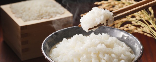 电煮锅可以煮米饭吗你清楚吗？