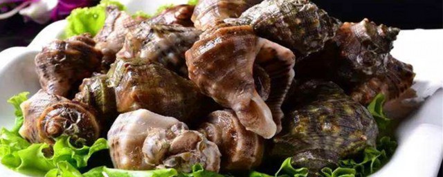 如何做海螺才好吃解释，理解怎么做海螺才好吃