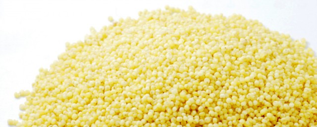 粟米是什么米解释，理解粟米属于哪一种类的米