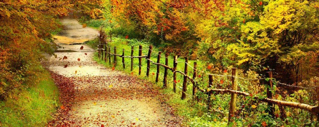 秋天有哪些景物你清楚吗？