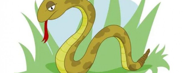 蛇的功效与作用解释，理解蛇的功效与作用是什么