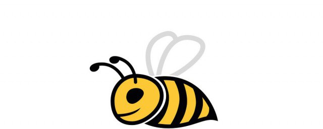 蜜蜂简介，对于蜜蜂的介绍和种类的要点