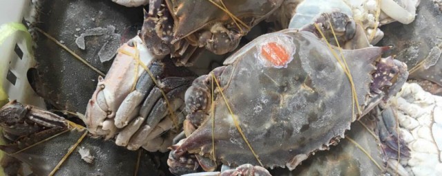 冰冻梭子蟹的家常做法你清楚吗？