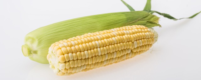 玉米粒怎样储存不会老你清楚吗？