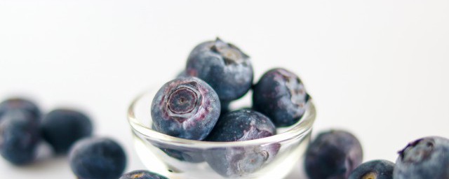 如何种植蓝莓你清楚吗？