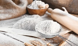 自制手工米粉的做法 自制手工米粉的方法
