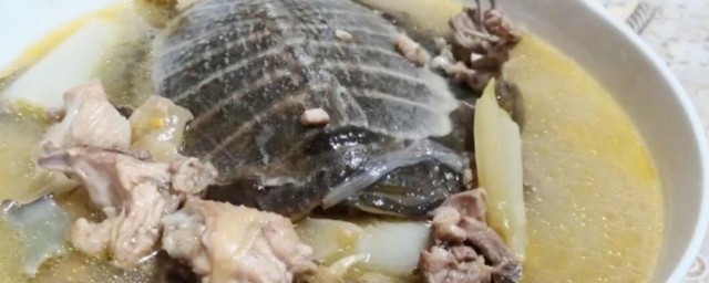 甲鱼胆可以吃吗，对于甲鱼胆是否可以吃的要点