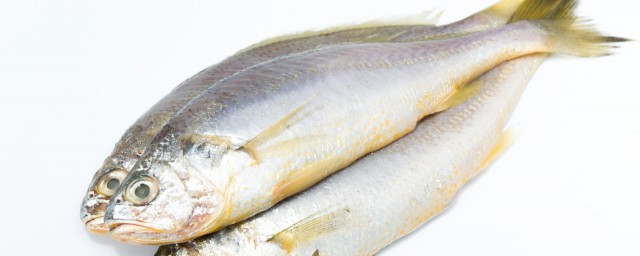 太阳鱼的食用禁忌解释，理解太阳鱼的食用禁忌是什么