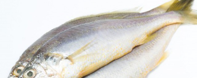 松子鱼的做法和步骤你清楚吗？