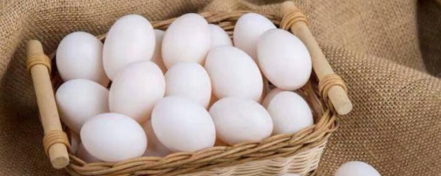 鸽子蛋和鸡蛋营养对比你清楚吗？