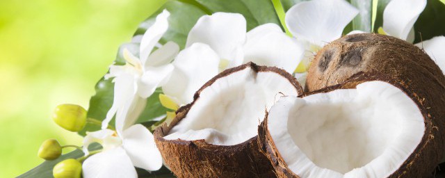 鲜椰子汁可以治痛风吗，对于鲜椰子汁能不能缓解痛风的要点