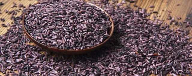 紫米有什么营养须知道