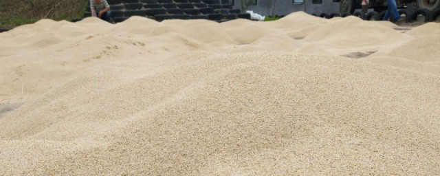 一方沙子多少吨如何，一方沙子多少吨可以吗