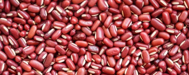 红豆和赤小豆能一起煮吗如何，红豆和赤小豆能一起煮吗可以吗