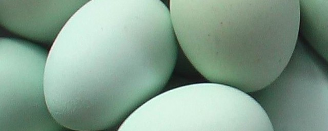 绿皮鸡蛋是什么品种鸡（绿皮鸡蛋简介）