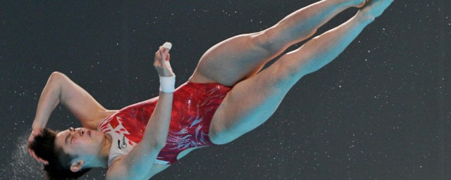 跳水运动员全红婵个人资料（关于跳水运动员全红婵个人资料）
