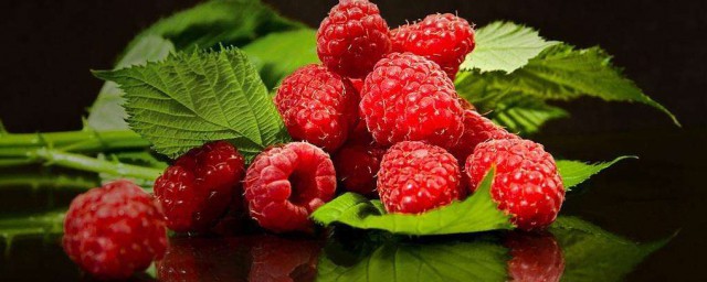 食用树莓有什么好处解释，理解食用树莓的好处简单介绍