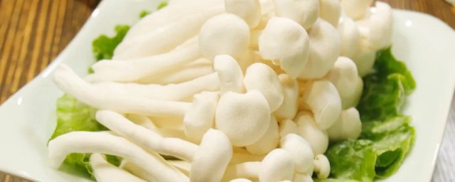 白蘑菇的禁忌是什么