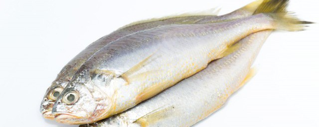 鲈鱼肚子里的黄色是什么？肚子里的黄色有营养吗