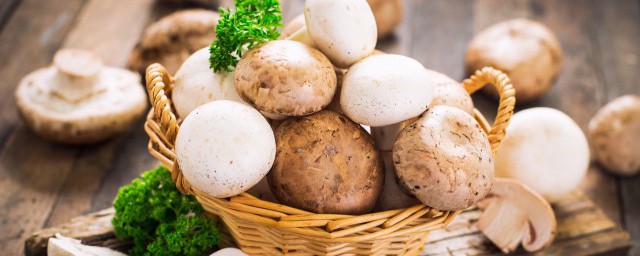 如何清洗白玉菇如何简单地用洗发水清洗白玉菇